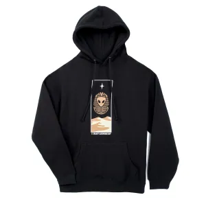 ALIEN WORKSHOP Theurgy Hoodie Black