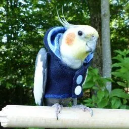 Avian Fashions Hoodie - Blue Jean