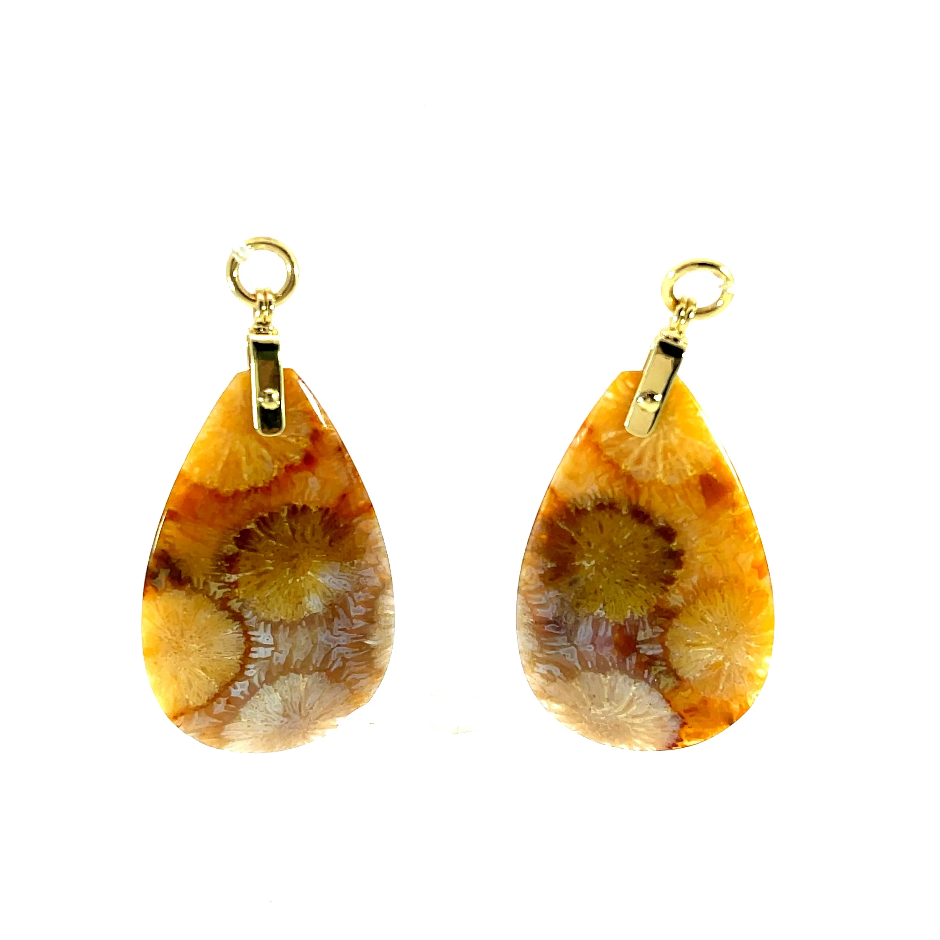 Fossilized Coral Earring Jackets with 18k Yellow Gold