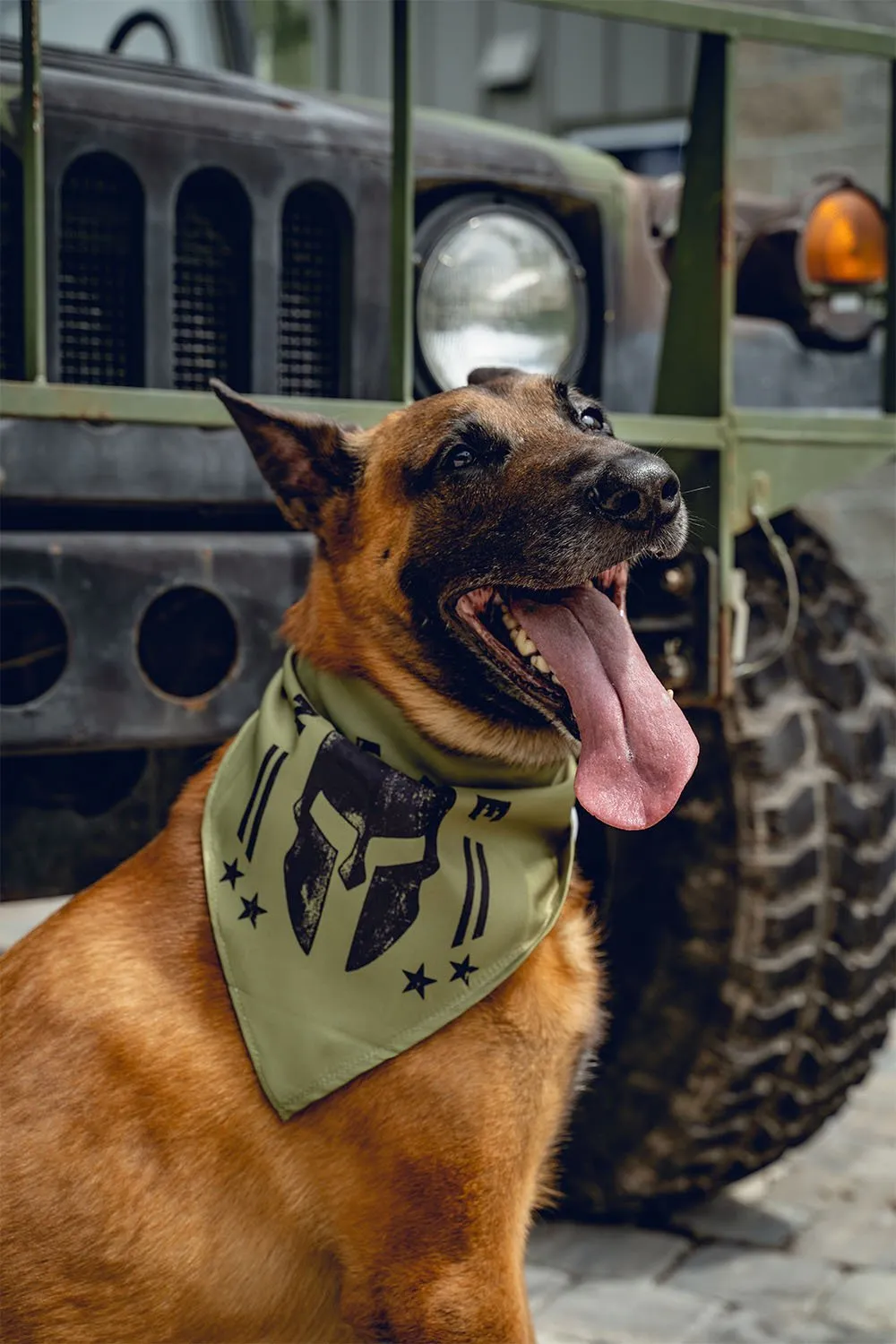 K9 Bandanas