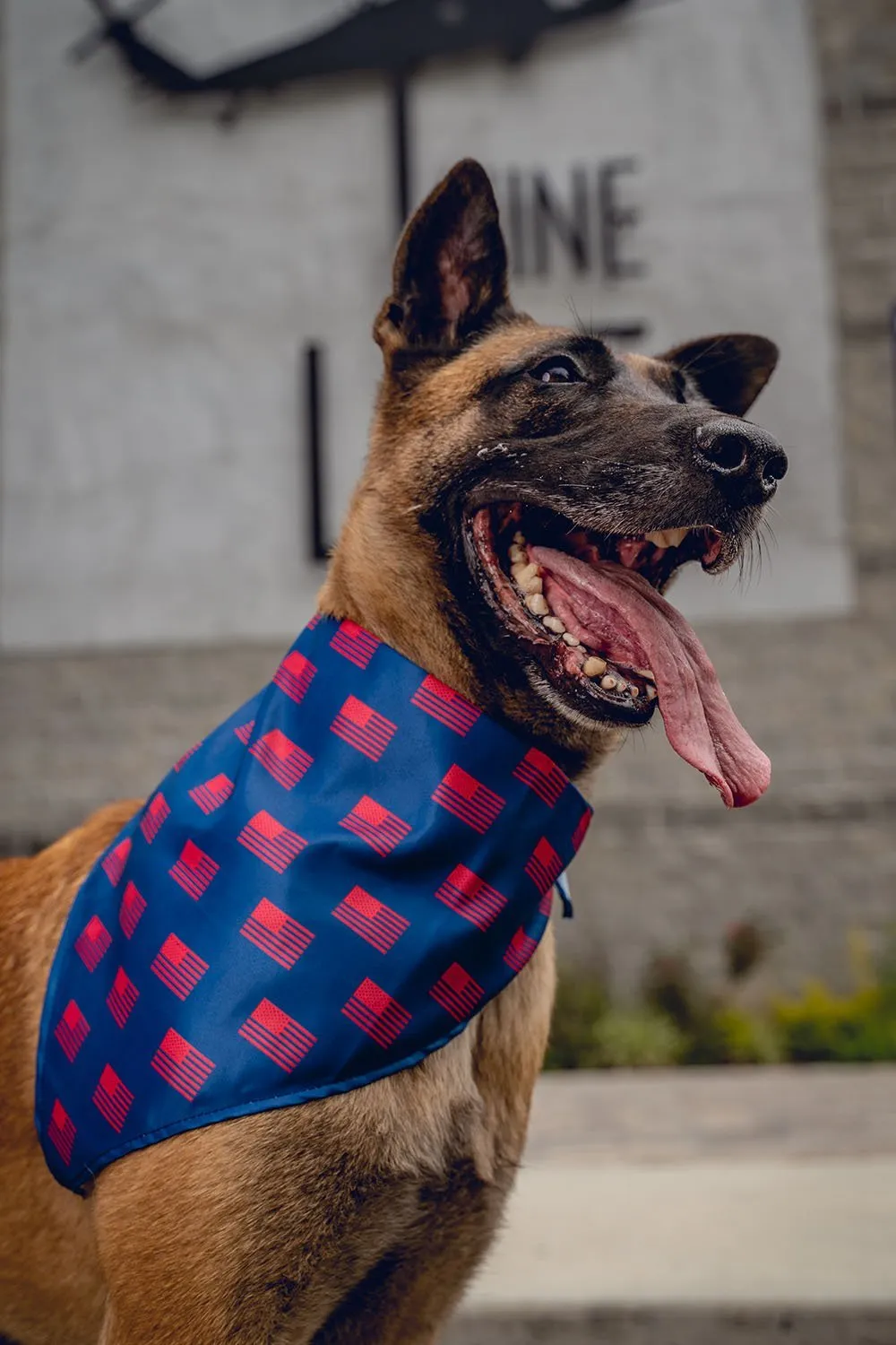 K9 Bandanas