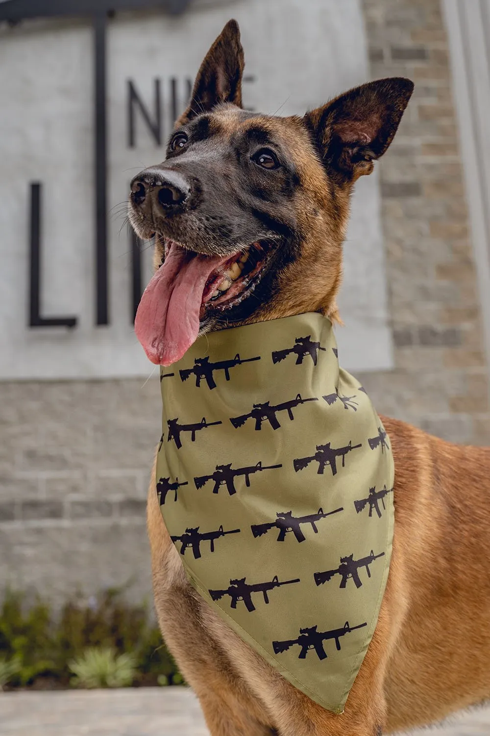 K9 Bandanas