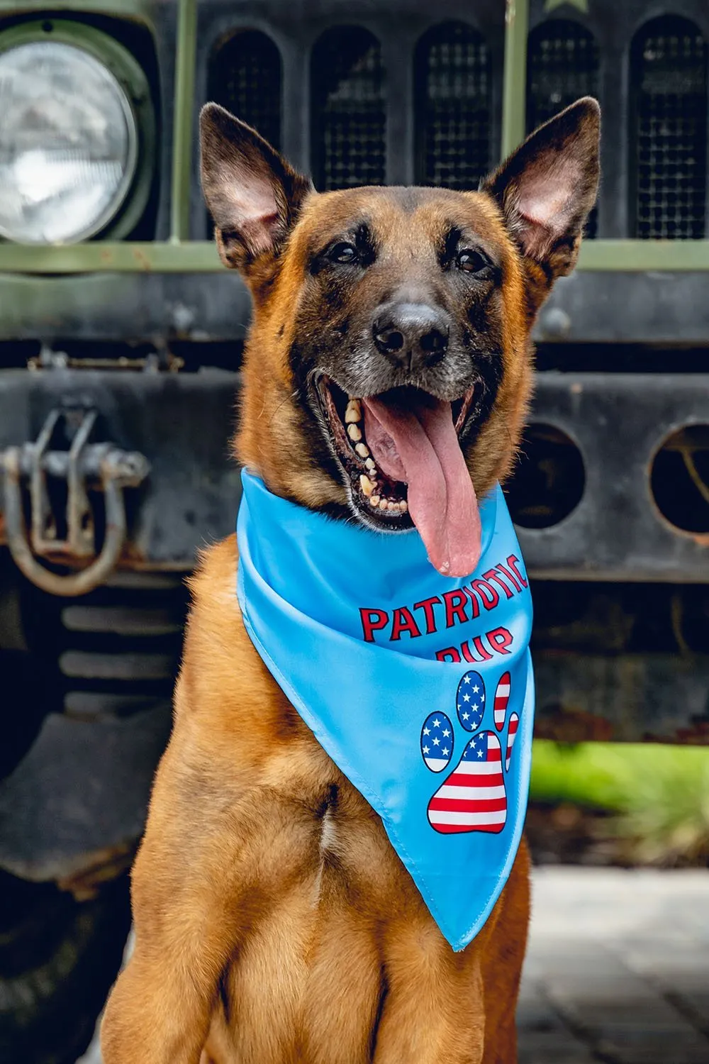 K9 Bandanas