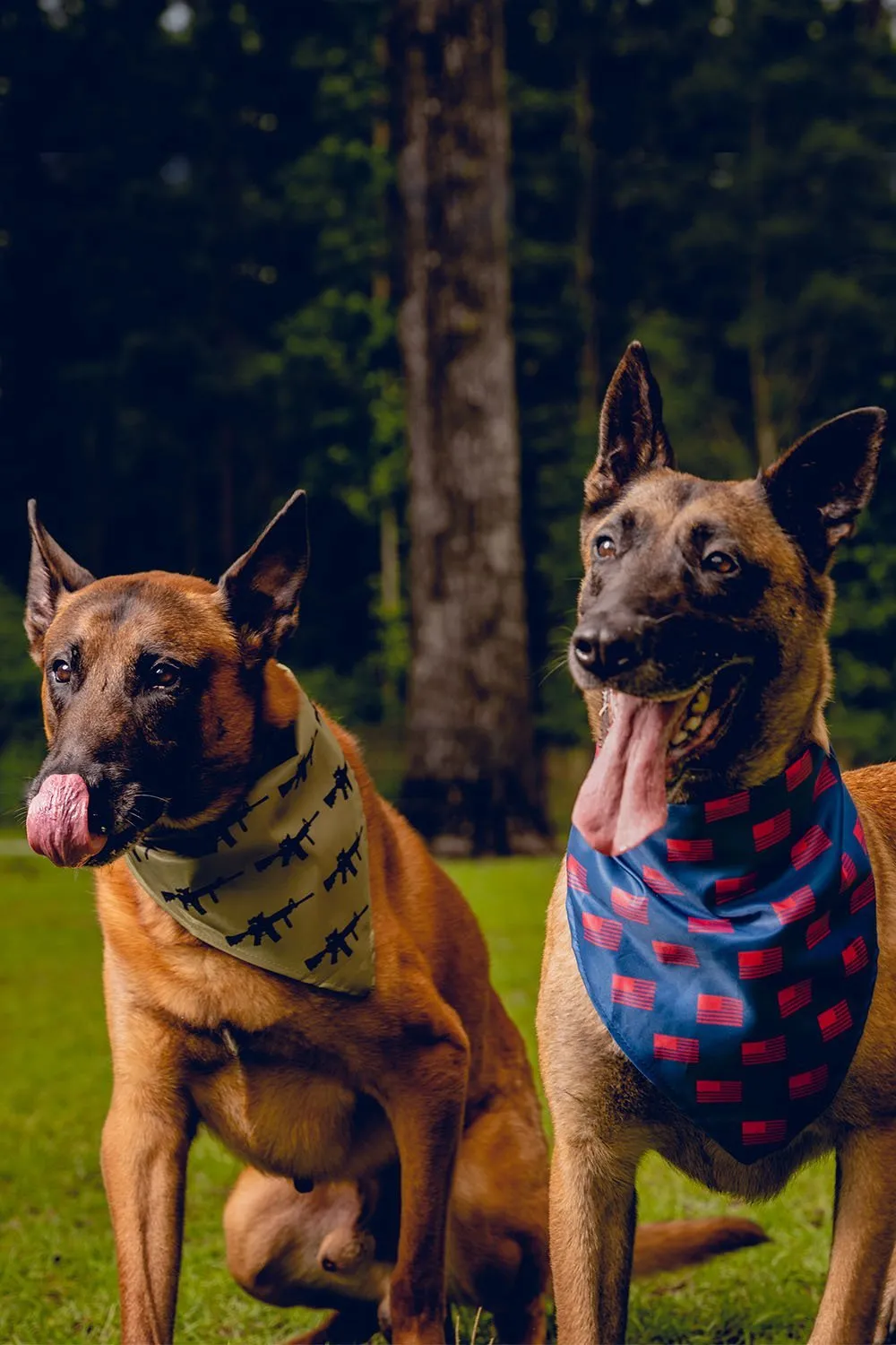 K9 Bandanas