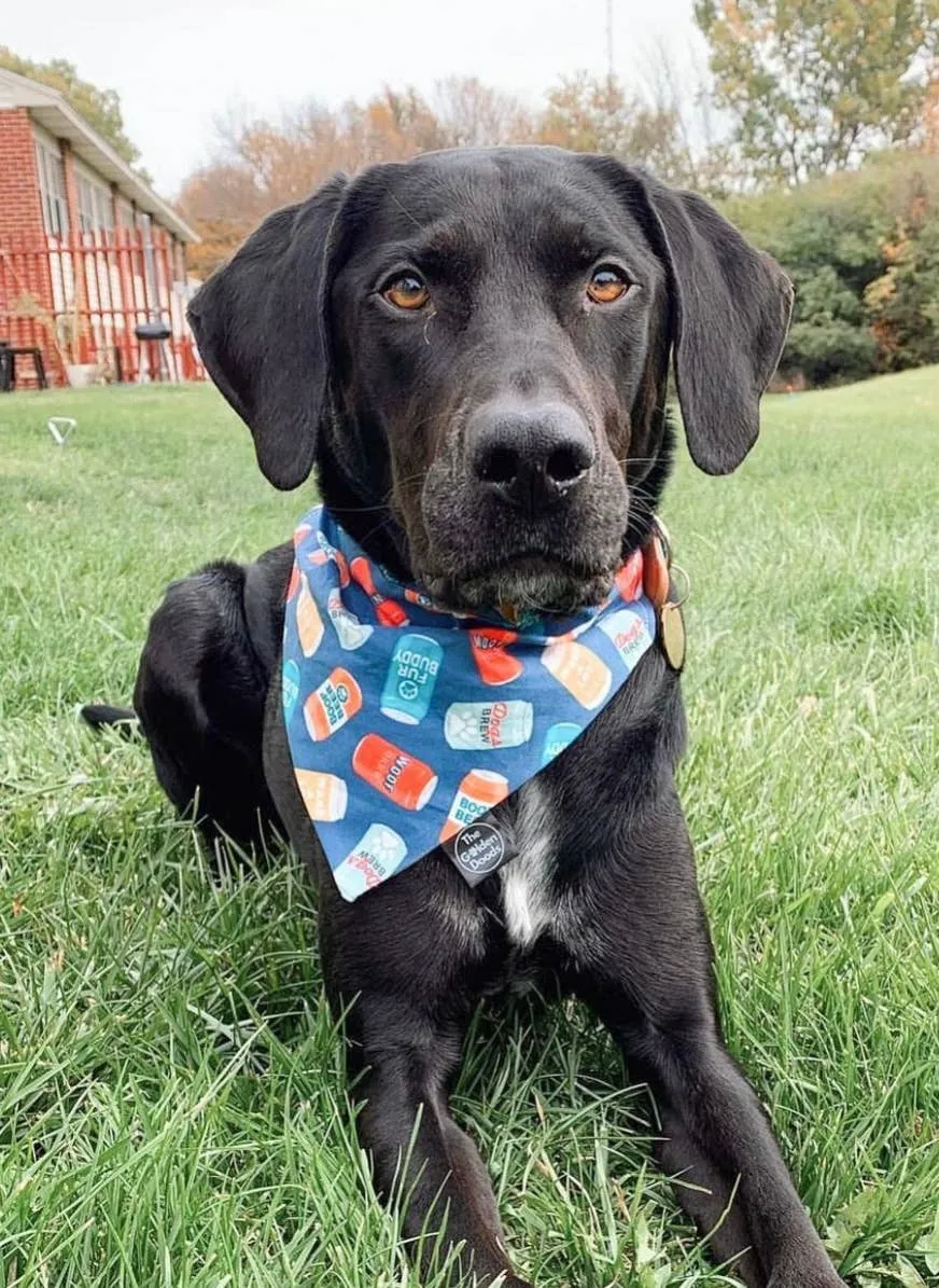 Navy Beer Can Dog Bandana